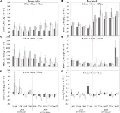 High Methane Emission From Palm Stems and Nitrous Oxide Emission From the Soil in a Peruvian Amazon Peat Swamp Forest